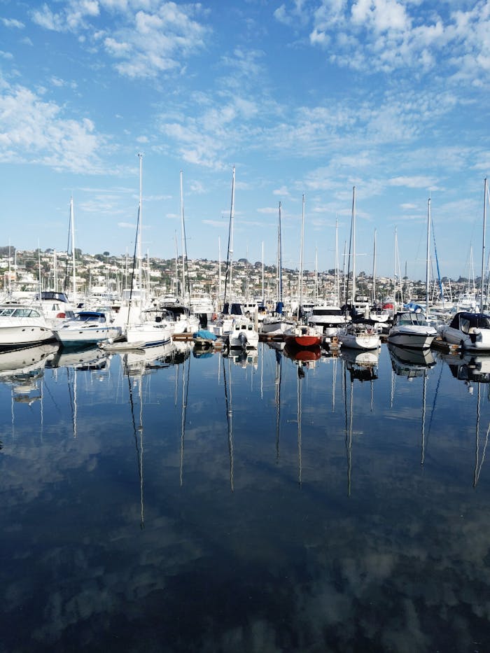 A tranquil marina filled with yachts reflecting on the calm water under a bright blue sky.