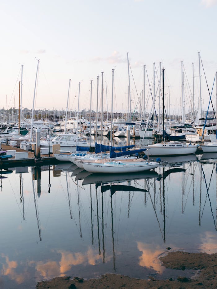 Tranquil scene of sailboats docked at a marina in San Diego, reflecting in calm waters at sunset.